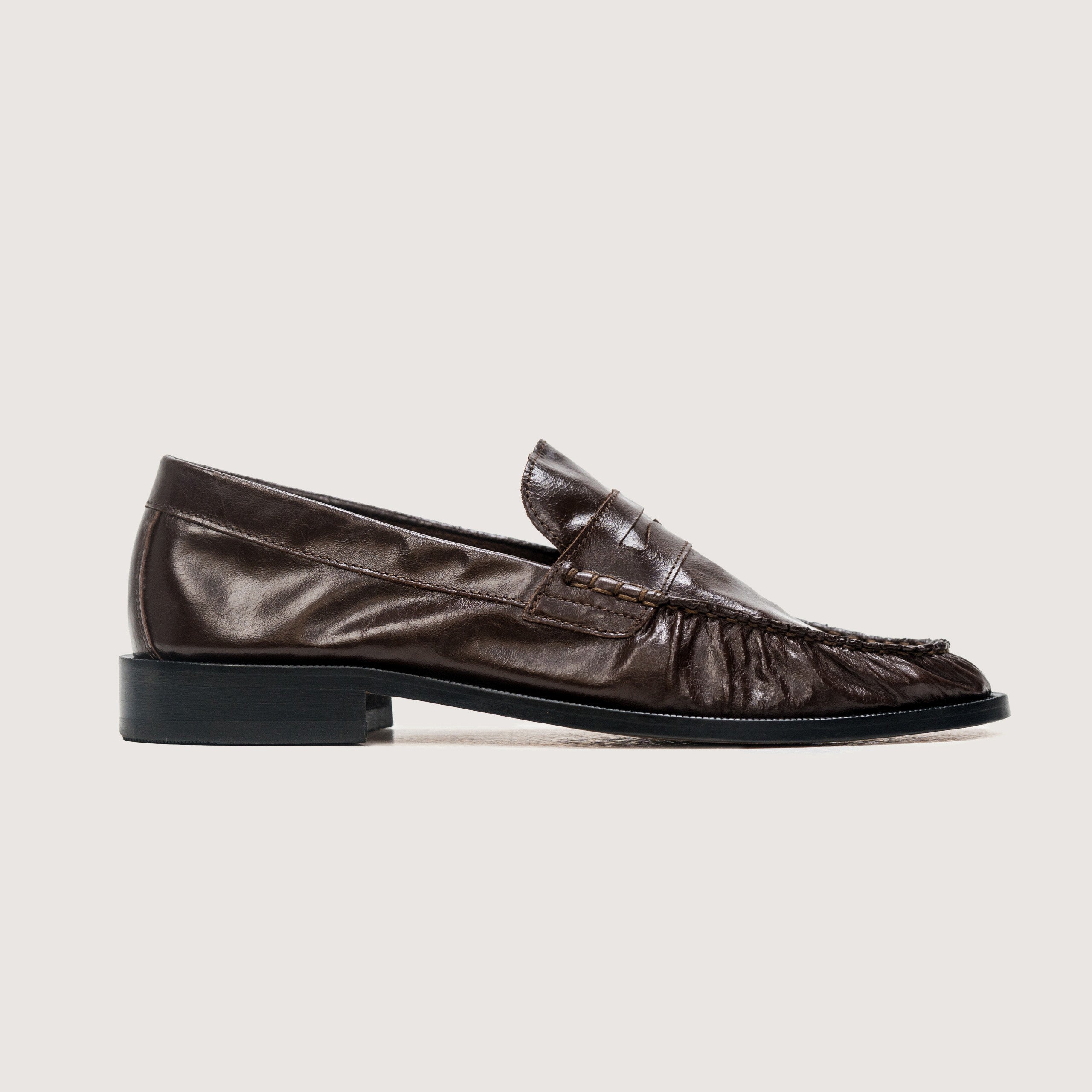 Burlington ⎸ Brown